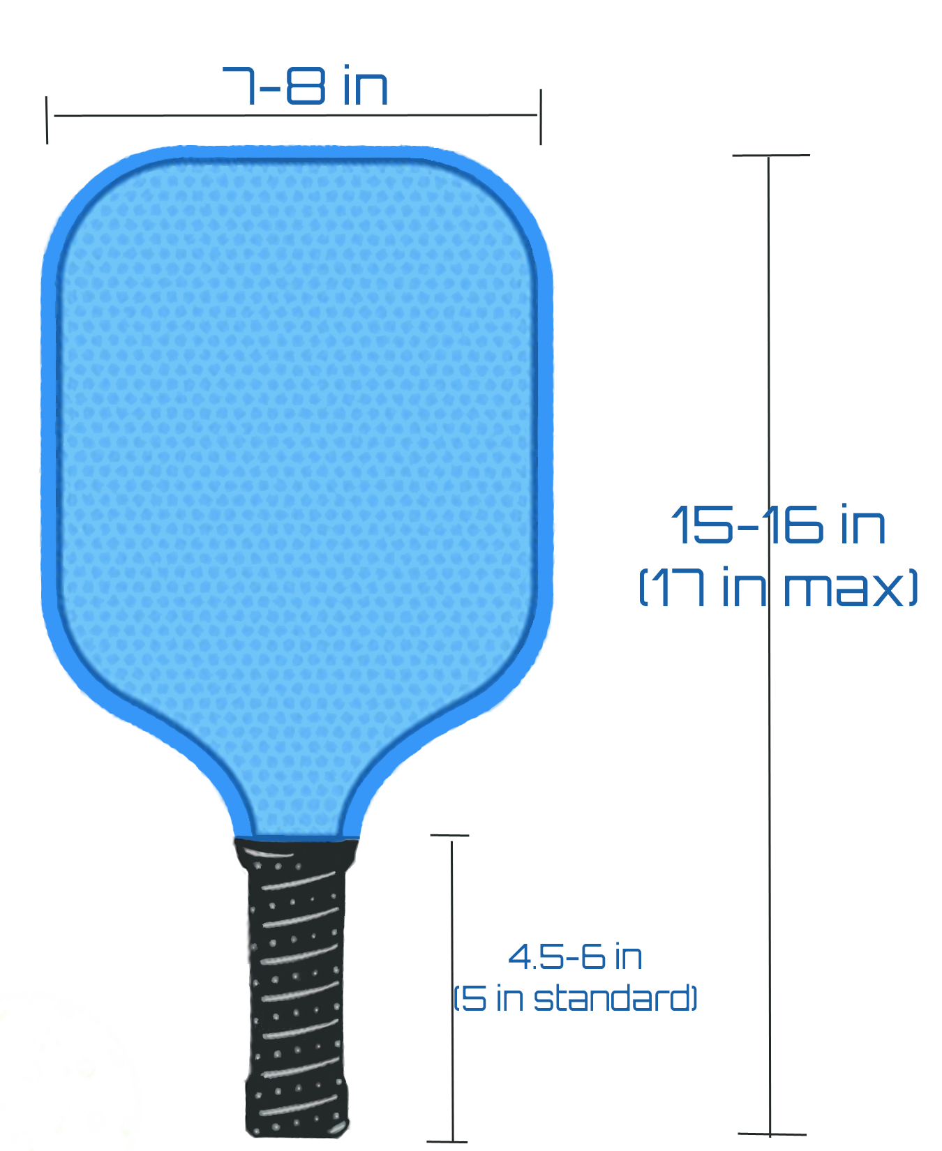 The Pickleball Paddle Explained | Pickleball Fever | MOMUS